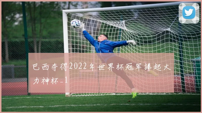 巴西夺得2022年世界杯冠军捧起大力神杯_1