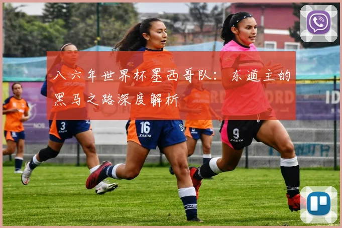 八六年世界杯墨西哥队:东道主的黑马之路深度解析