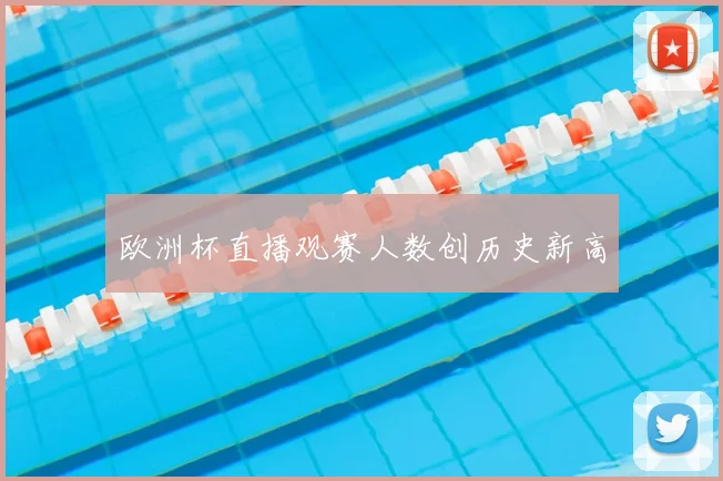 欧洲杯直播观赛人数创历史新高
