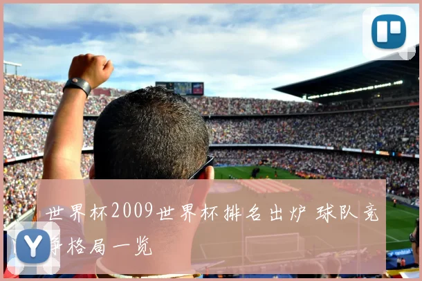 世界杯2009世界杯排名出炉 球队竞争格局一览